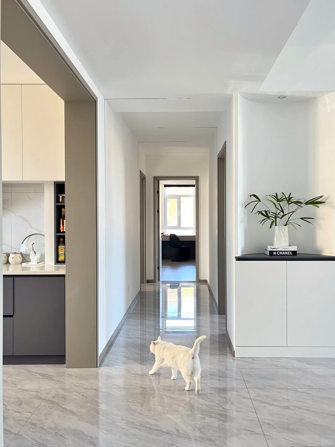 養寵裝修,寵物家庭裝修,養寵裝修選材 養寵裝修,寵物家庭裝修,養寵裝修選材