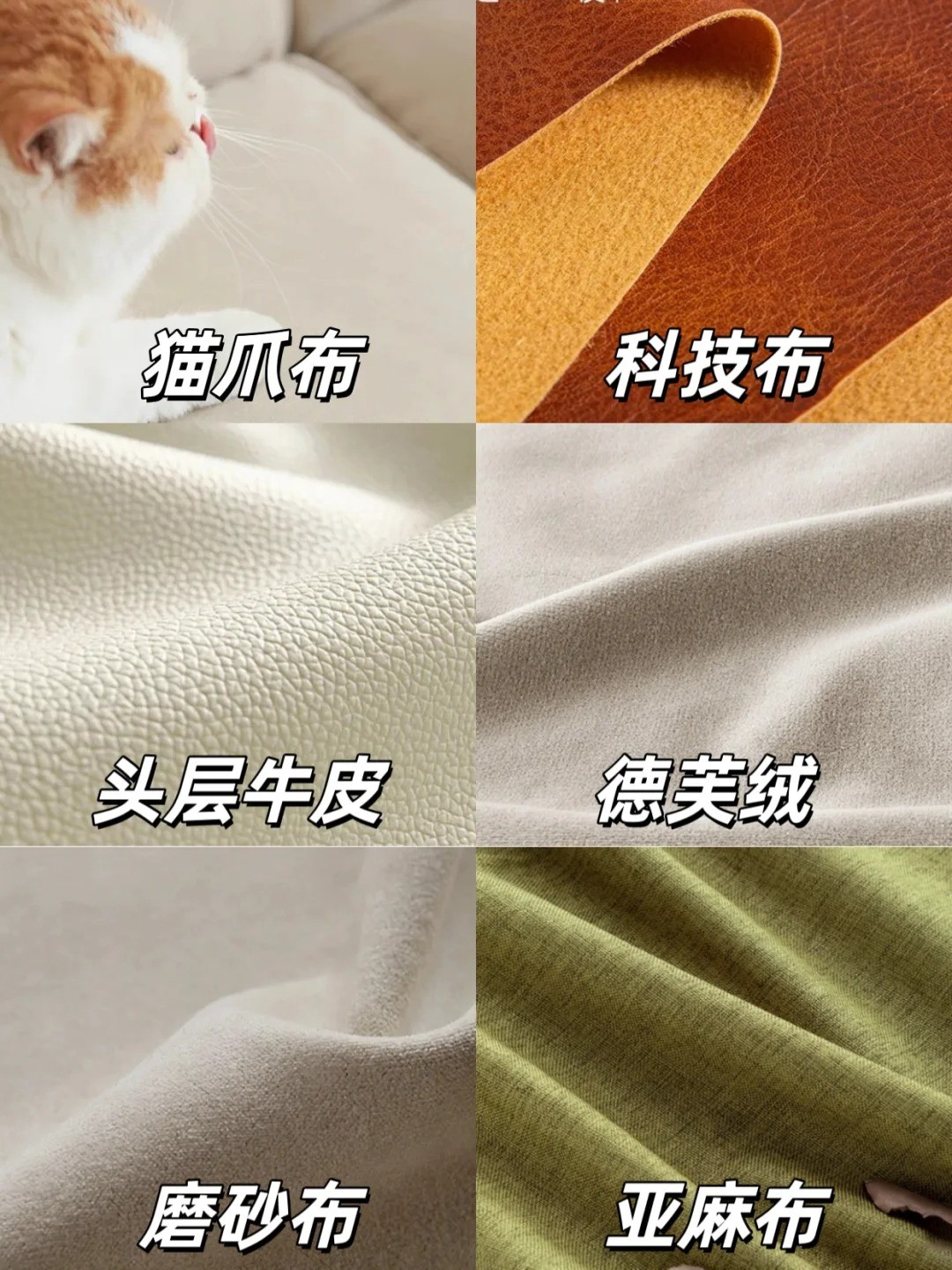 養寵裝修,寵物家庭裝修,養寵裝修選材 養寵裝修,寵物家庭裝修,養寵裝修選材